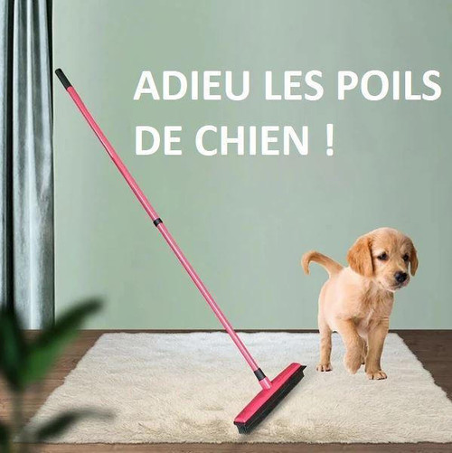 Balai Multifonctionnel Avec Manche Télescopique Pour Poils D'Animaux