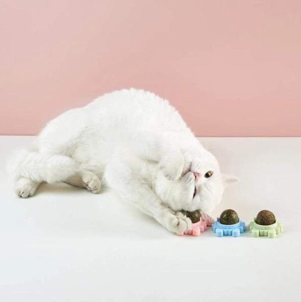 Boule d'Herbe à Chat Rotative - Nettoyage de la dentition