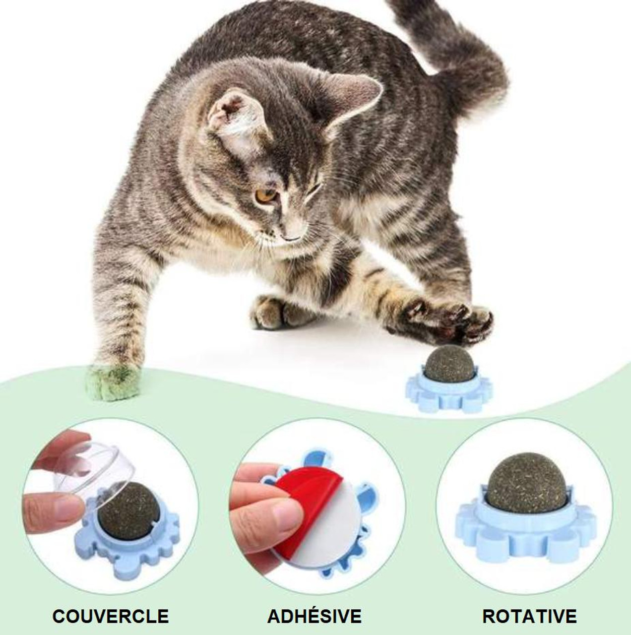 Boule d'Herbe à Chat Rotative - Nettoyage de la dentition