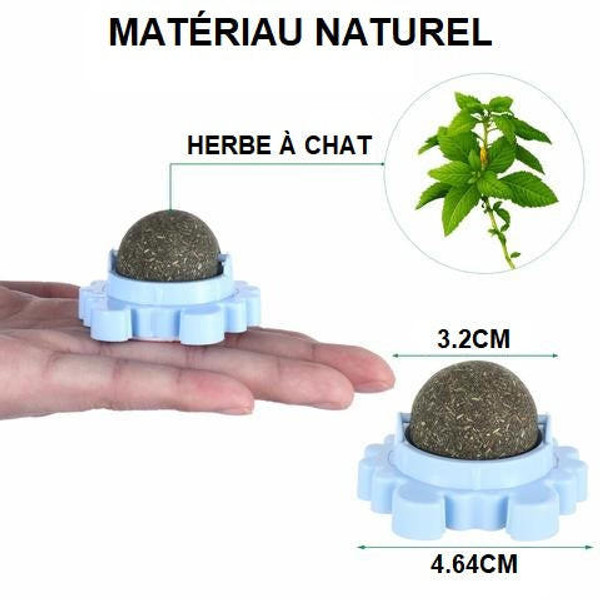 Boule d'Herbe à Chat Rotative - Nettoyage de la dentition