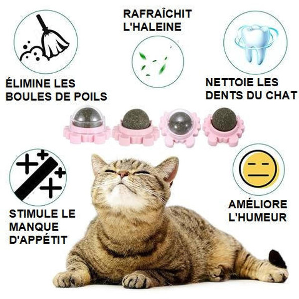 Boule d'Herbe à Chat Rotative - Nettoyage de la dentition