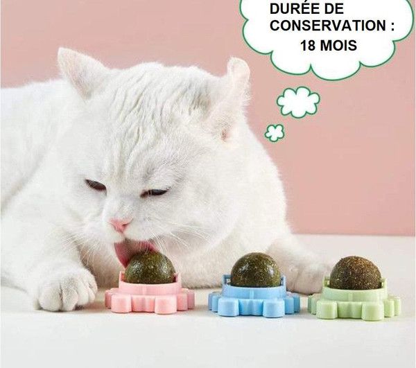 Boule d'Herbe à Chat Rotative - Nettoyage de la dentition