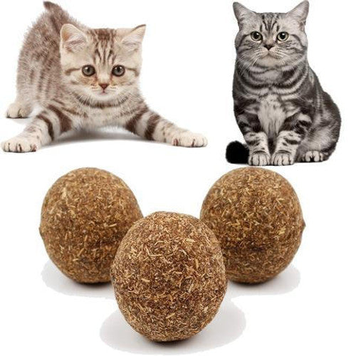 Boule d'herbe à chat