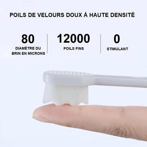 Brosse À Dents Nordique De Qualité Supérieure