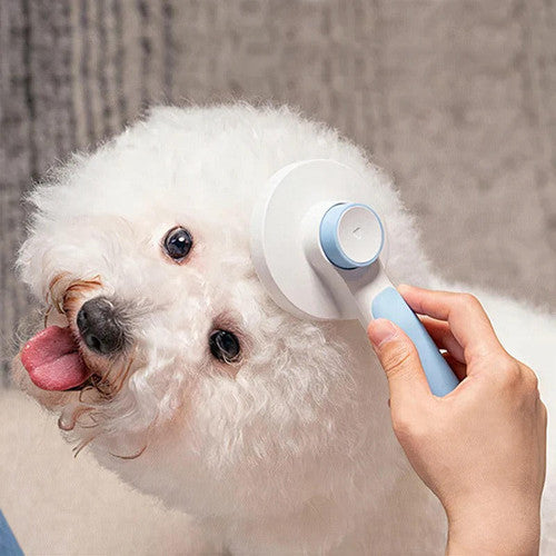 Brosse Magique Pour Chien Et Chat