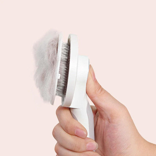 Brosse Magique Pour Chien Et Chat