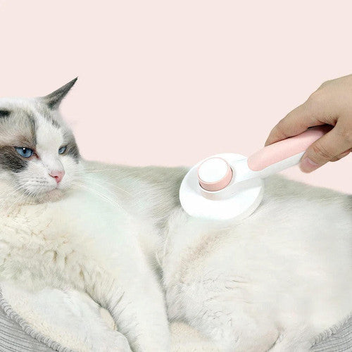 Brosse Magique Pour Chien Et Chat