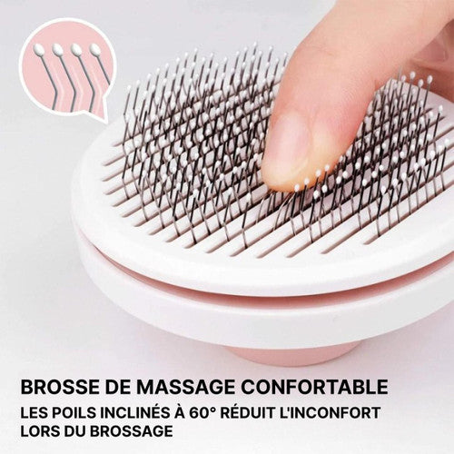 Brosse Magique Pour Chien Et Chat