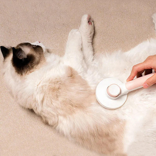 Brosse Magique Pour Chien Et Chat
