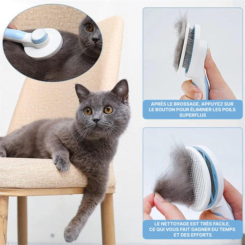 Brosse Magique Pour Chien Et Chat