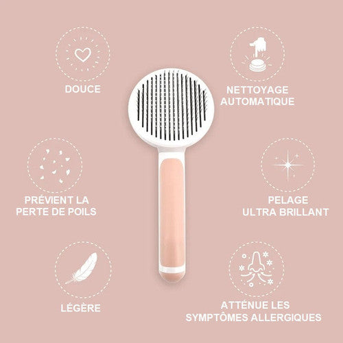 Brosse Magique Pour Chien Et Chat