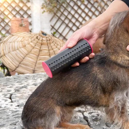 Brosse Pour Chien et Chat 3-en-1