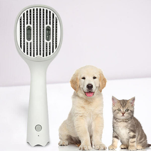 Brosse Pour Chien Et Chat Désinfectante