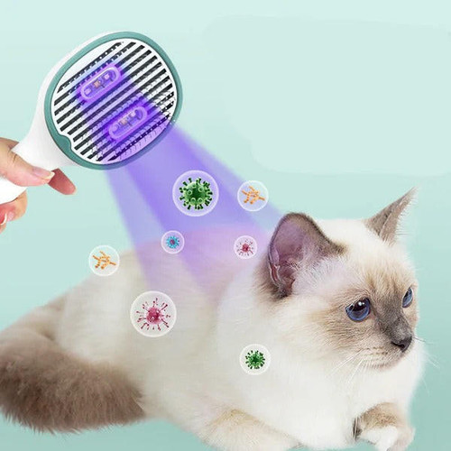 Brosse Pour Chien Et Chat Désinfectante