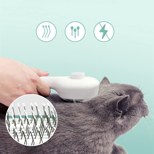 Brosse Pour Chien Et Chat Désinfectante