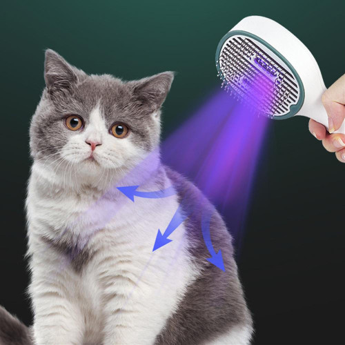 Brosse Pour Chien Et Chat Désinfectante