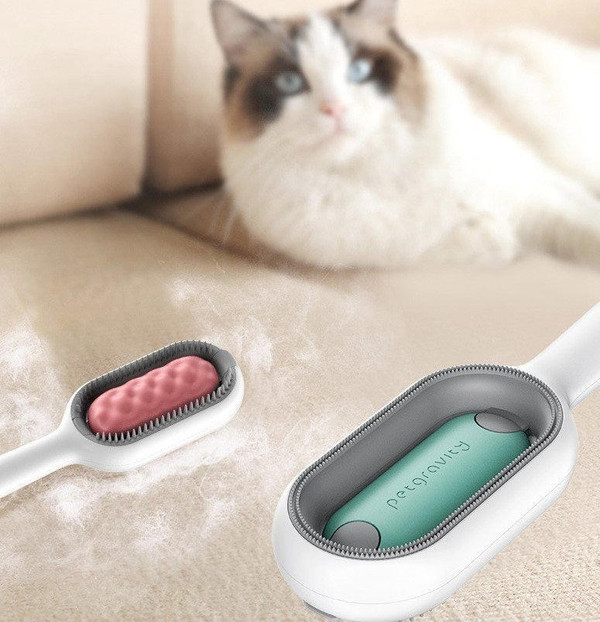 Brosse Pour Chien Et Chat
