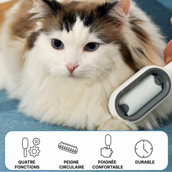 Brosse Pour Chien Et Chat