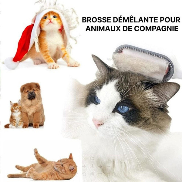 Brosse Pour Chien Et Chat