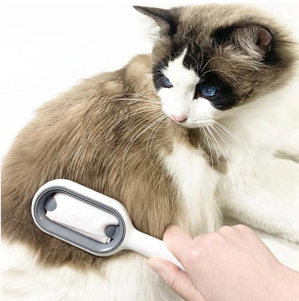 Brosse Pour Chien Et Chat