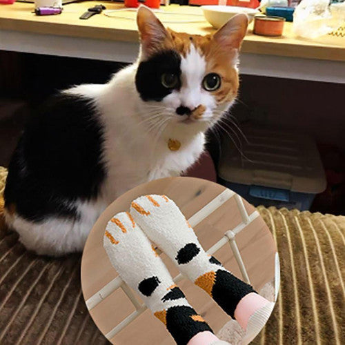 Chaussettes d’Hiver Pattes De Chats