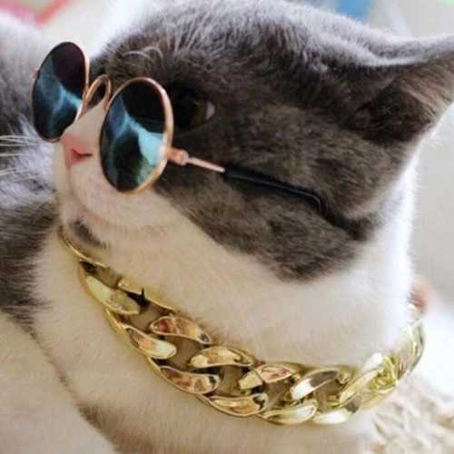 Collier De Sécurité En Chaîne Dorée Pour Chien et Chat