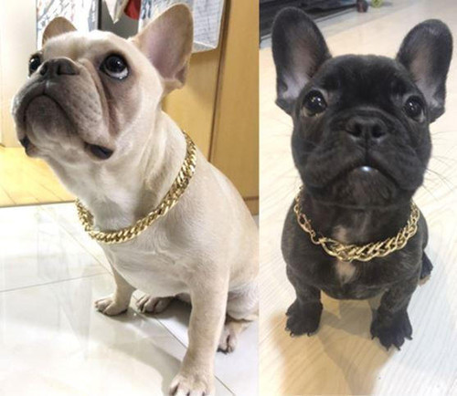 Collier De Sécurité En Chaîne Dorée Pour Chien et Chat