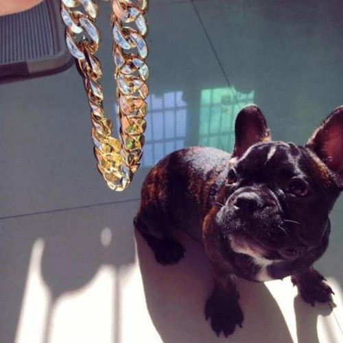 Collier De Sécurité En Chaîne Dorée Pour Chien et Chat
