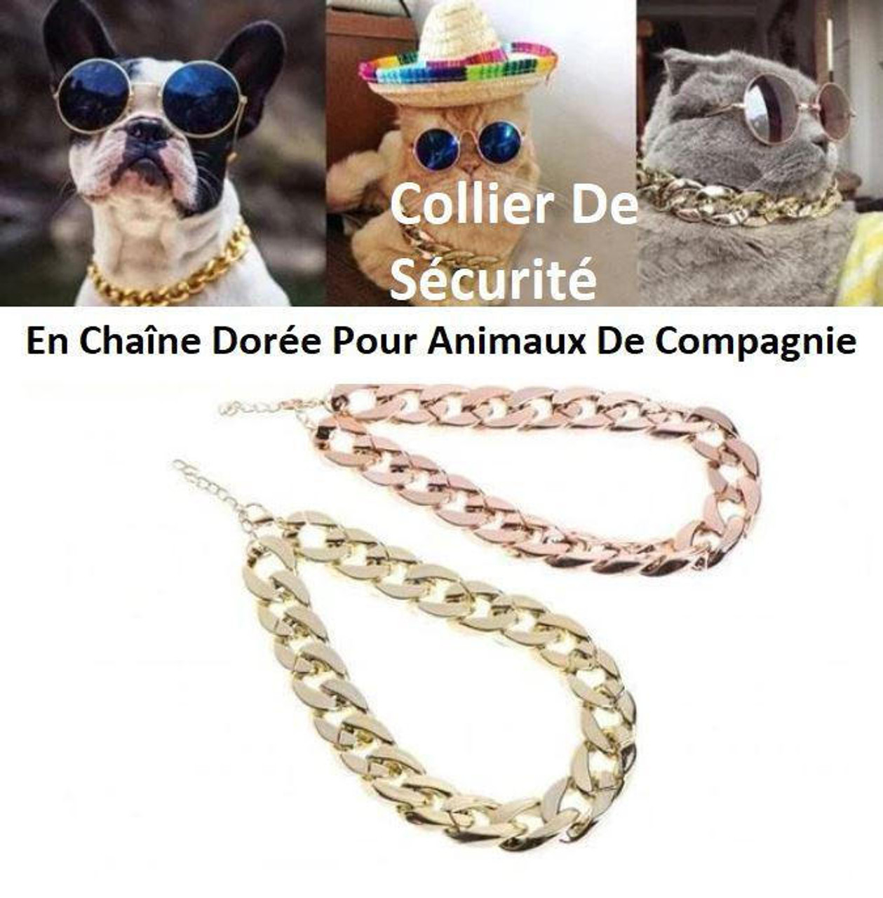 Collier De Sécurité En Chaîne Dorée Pour Chien et Chat