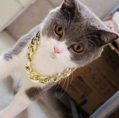 Collier De Sécurité En Chaîne Dorée Pour Chien et Chat