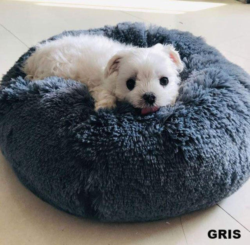 Doux Coussin pour Animaux de Compagnie
