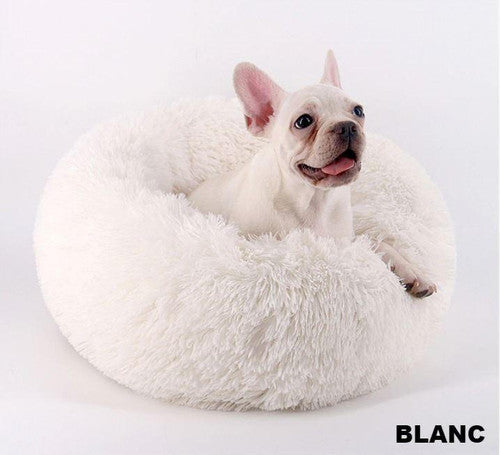 Doux Coussin pour Animaux de Compagnie
