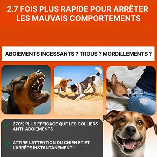 Anti Aboiement Pour Chien à Ulrasons