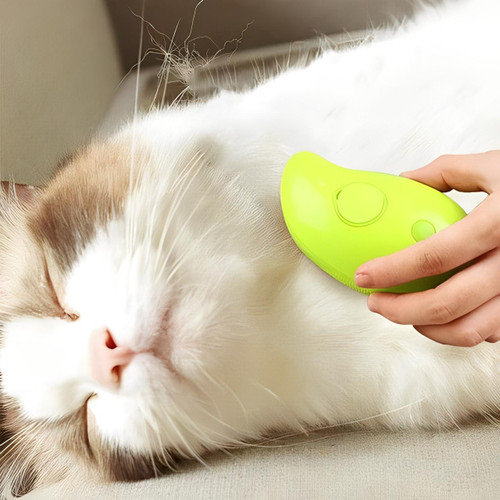 Brosse Pour Chat Et Chien à Vapeur