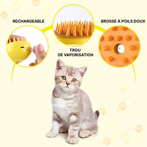 Brosse Pour Chat Et Chien à Vapeur