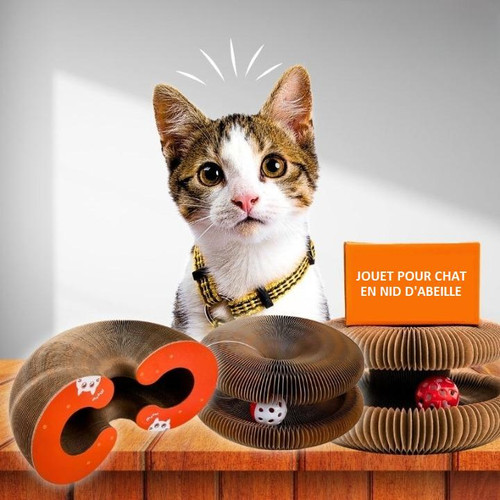 Jouet Pour Chat Intéractif Avec Balle Et Griffoir