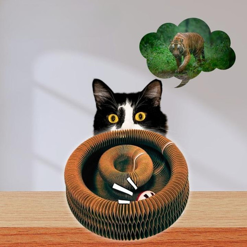 Jouet Pour Chat Intéractif Avec Balle Et Griffoir
