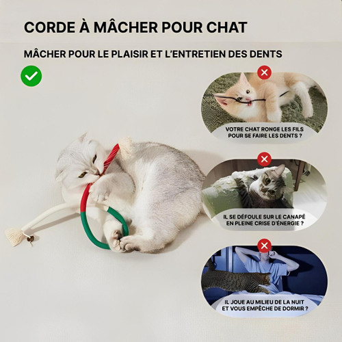 Jouet À Mâcher Pour Chat Avec Hygiène Dentaire