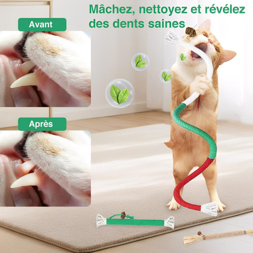 Jouet À Mâcher Pour Chat Avec Hygiène Dentaire