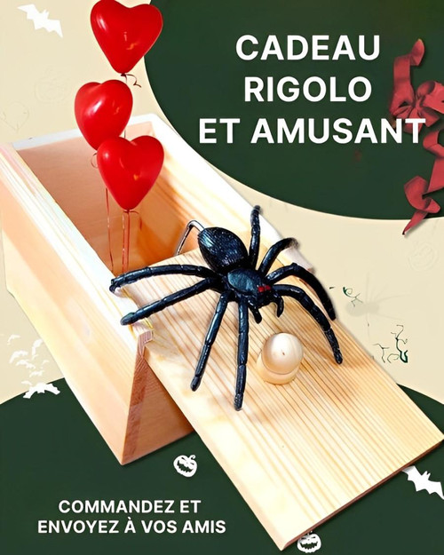 Boite Farce Et Attrape Araignée
