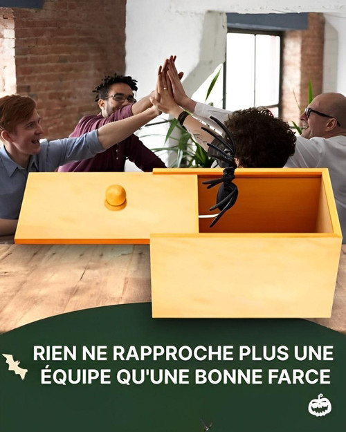 Boite Farce Et Attrape Araignée