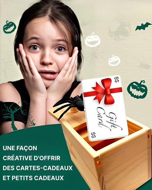 Boite Farce Et Attrape Araignée