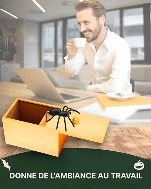 Boite Farce Et Attrape Araignée