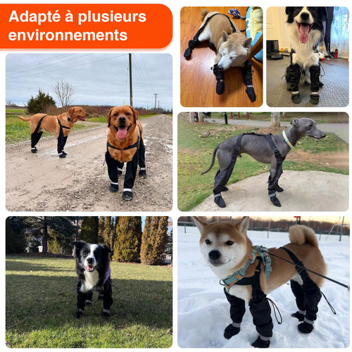 Bottes Pour Chien Imperméables