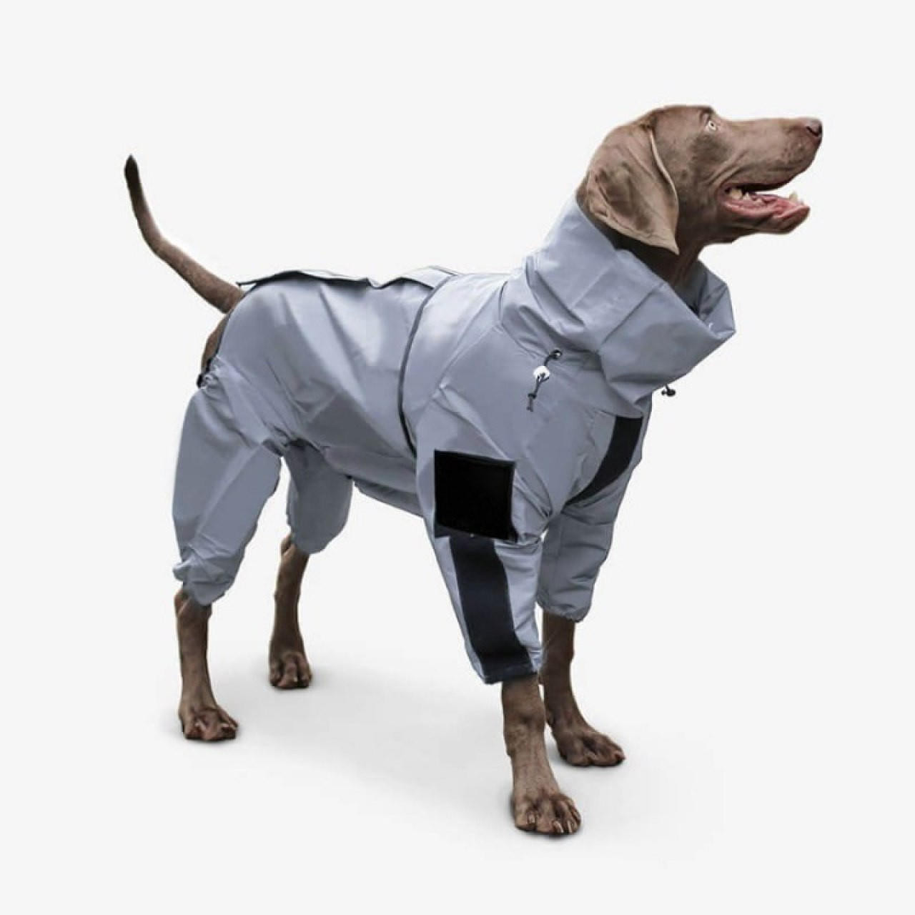 Manteau Imperméable Pour Chien