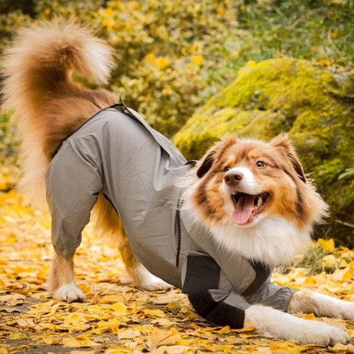 Manteau Imperméable Pour Chien