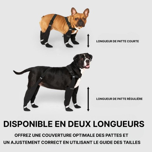 Bottes Pour Chien Imperméables