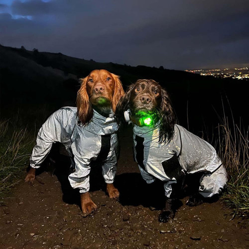 Manteau Imperméable Pour Chien