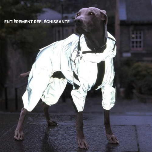 Manteau Imperméable Pour Chien