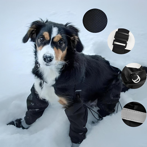 Bottes Pour Chien Imperméables